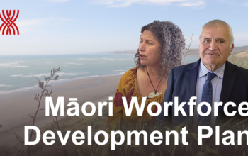 Introduction to the Māori Workforce Development Plan