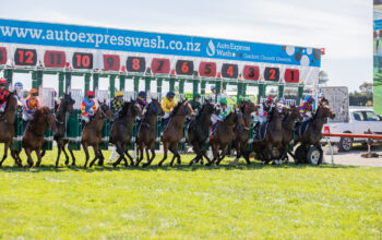 Equine qualifications found to be fit for purpose