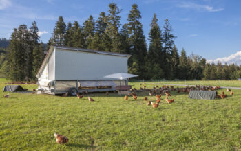 Pushing pause on Poultry reviews