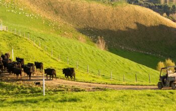 Have your say: Review of qualifications in Agriculture at Levels 3, 4, and 5