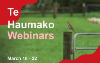 Te Haumako – Māori Workforce Development Plan webinars