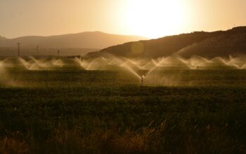 Seeking specialists for irrigation micro-credential development