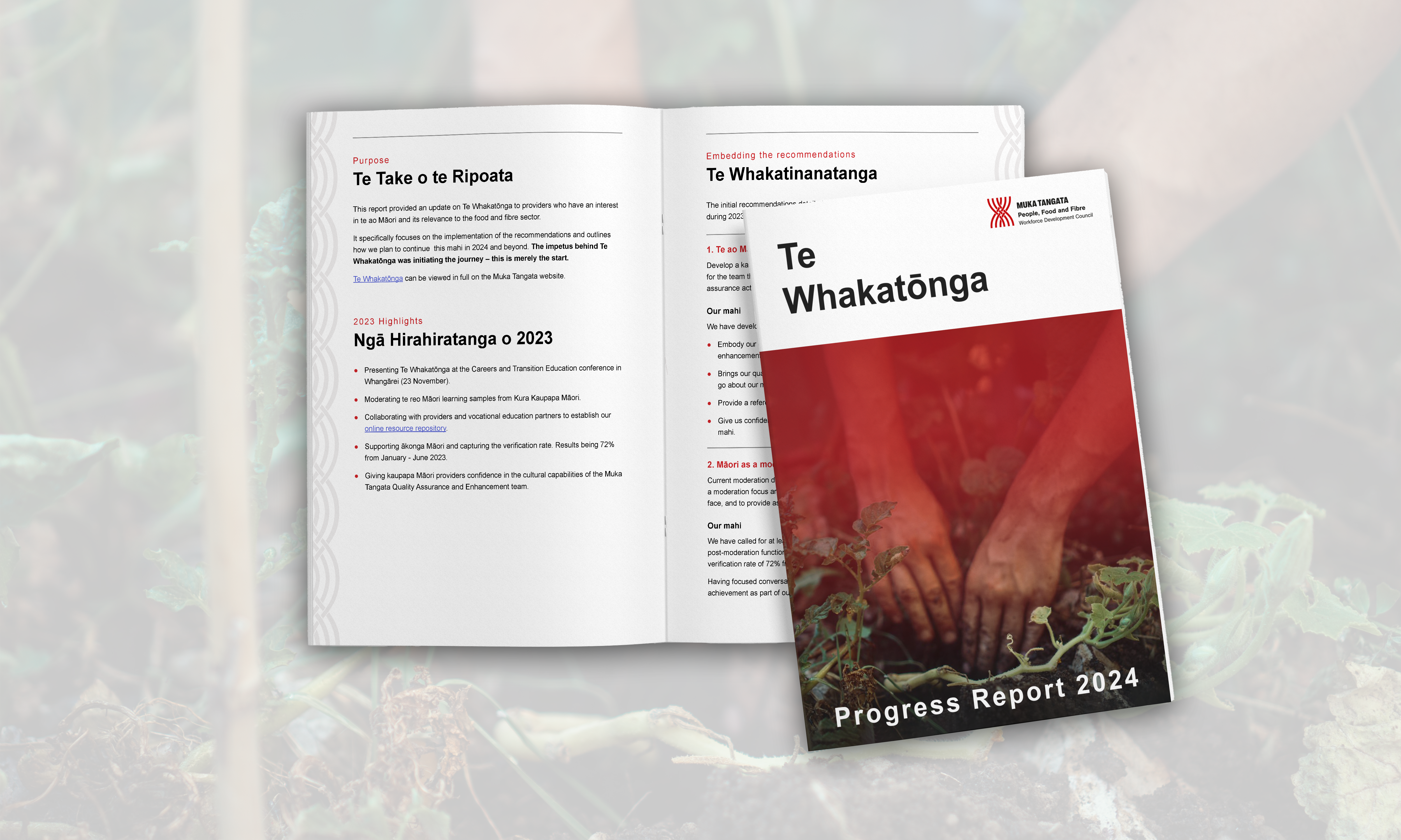 Decorative image of Te Whakatōnga Progress Update report cover.