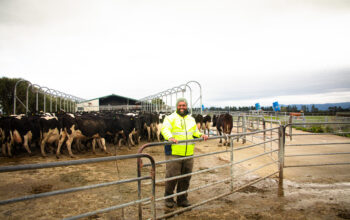 New micro-credential growing leaders in the Dairy industry