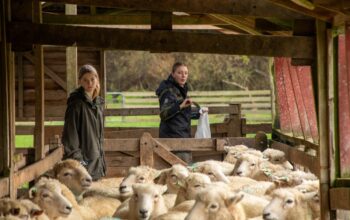 Women in the food and fibre sector