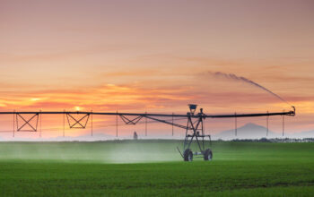 Have your say on new Irrigation skill standards​ (Level 5)