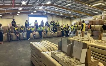 Improving preparation in the woolshed – New Zealand Wool Classers Industry Day