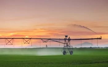 Seeking specialists for irrigation micro-credential development