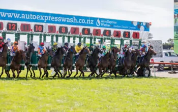 Equine qualifications found to be fit for purpose