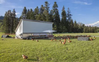 Pushing pause on Poultry reviews