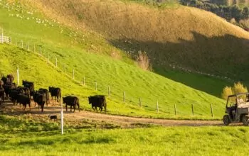 Have your say: Review of qualifications in Agriculture at Levels 3, 4, and 5