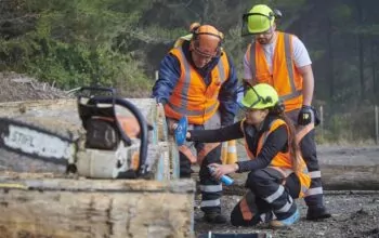 Planning tool supports workforce growth for Ahuwhenua trusts